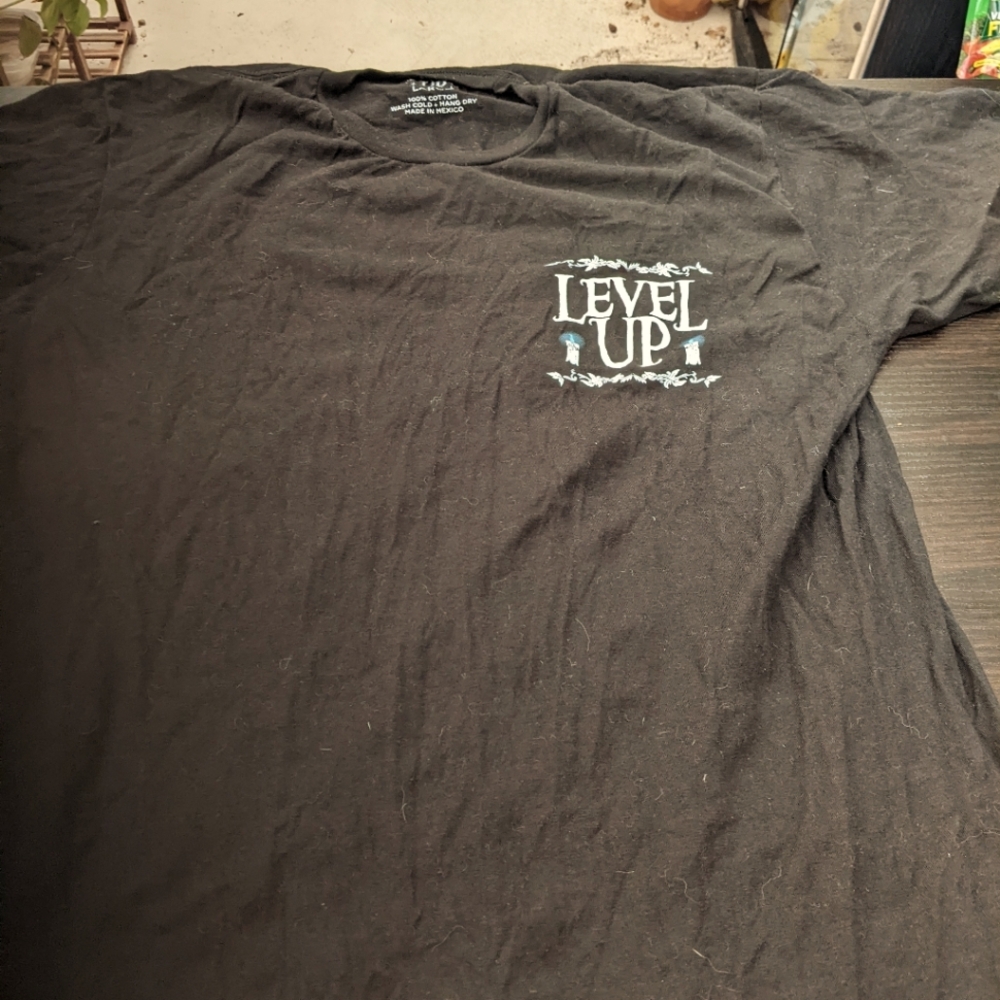 Level up tour tee